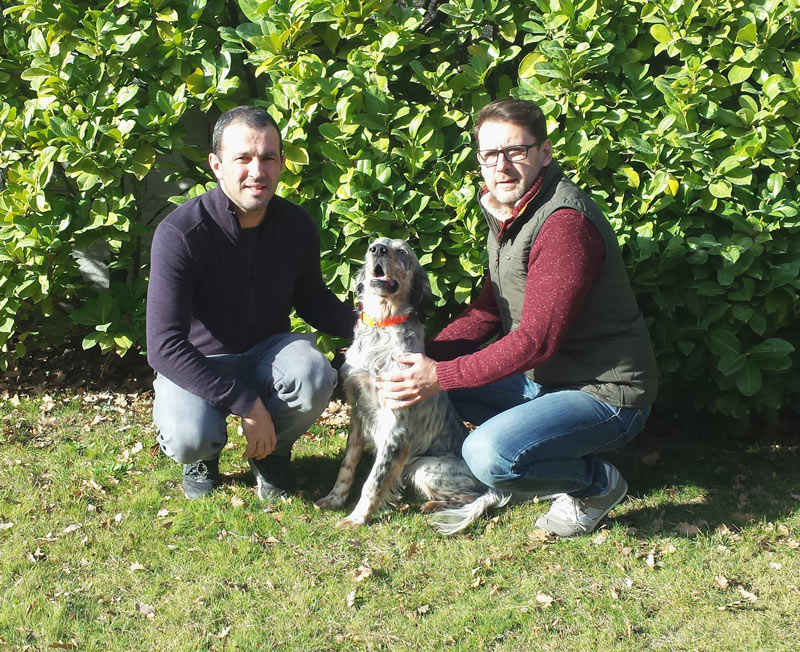 hbdog, marque française d'accessoires pour chiens