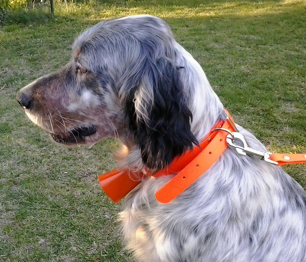 Sonnailles et grelots pour chiens